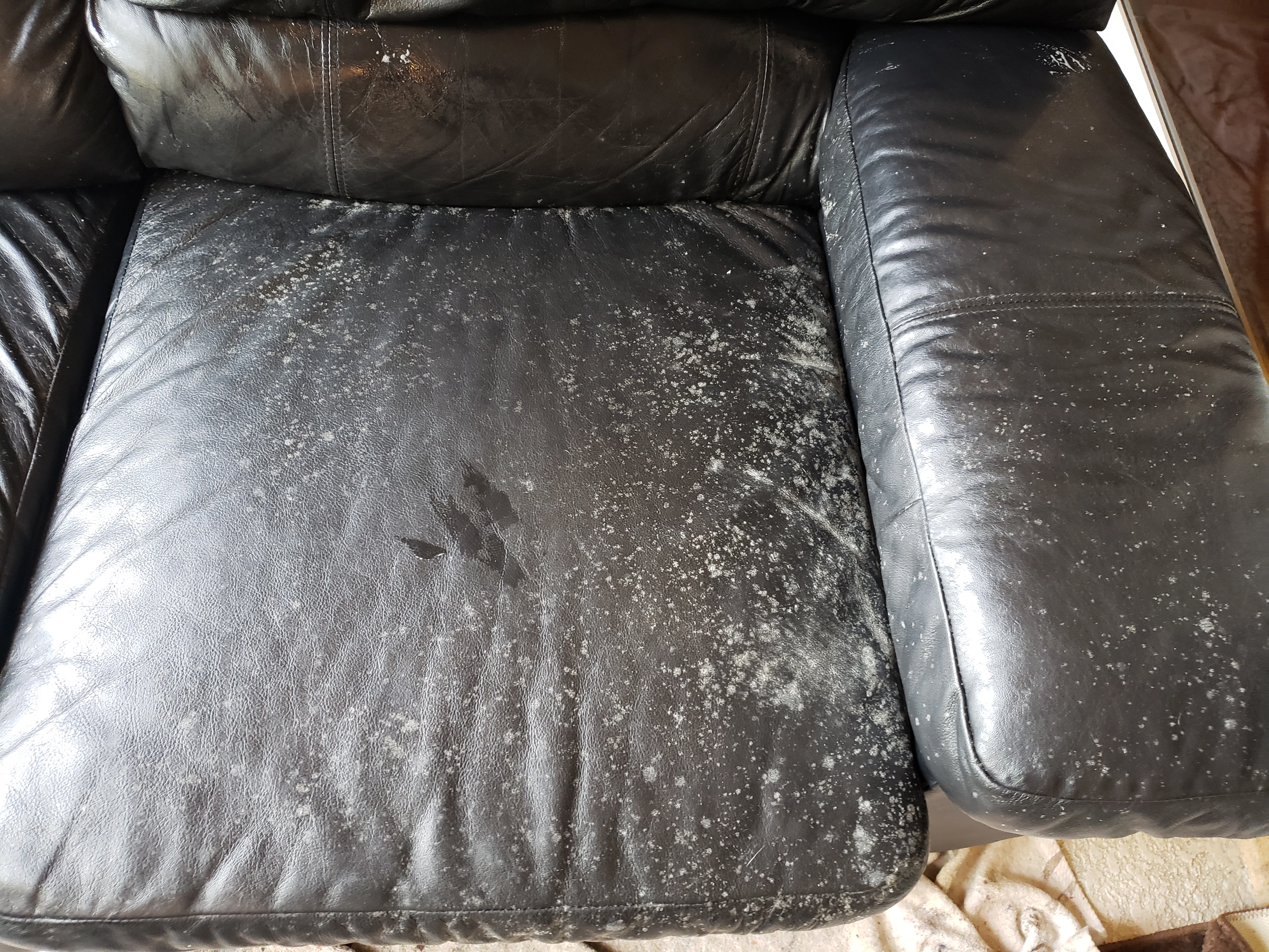 Professional leather cleaning portfolio image 5